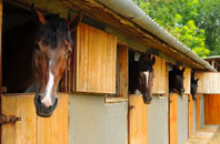 free Bryn Yr Ogof stable construction quotes